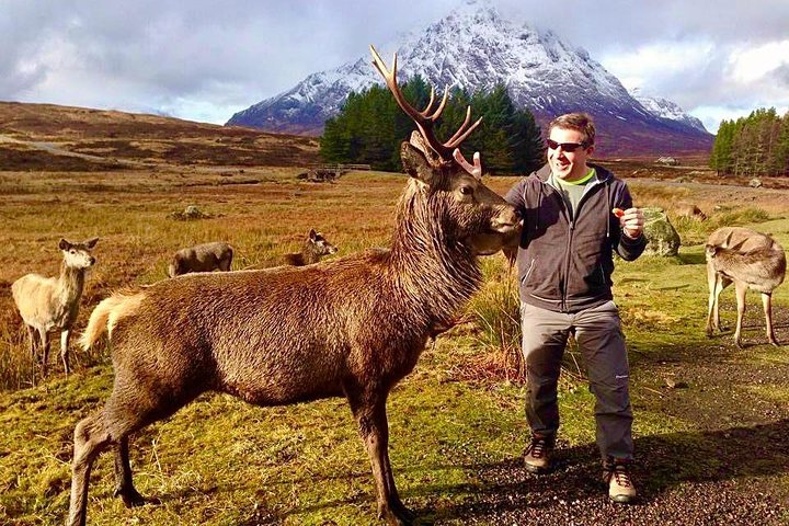 Be Enchanted by the Breathtaking Scenery of the Scottish Highlands  - Photo 1 of 13